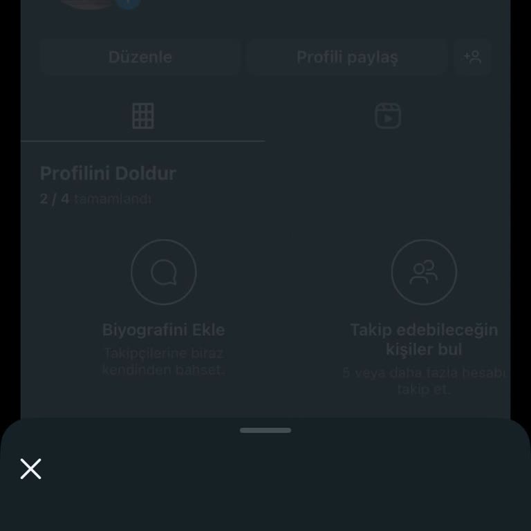 Instagram'a Giriş Yapılamıyor: Teknik Hata Sürekli Devam Ediyor