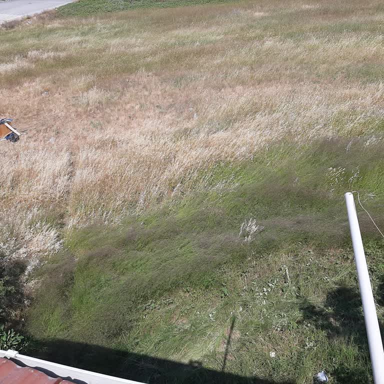 Darıca Emek Mahallesi'nde Otların Temizlenmemesi Ve İlgisizlik