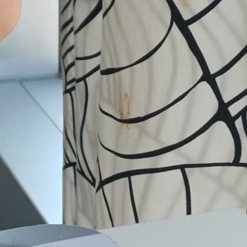 Bursa Ikea Restoranında Kirli Perdeler Müşteri Deneyimini Olumsuz Etkiledi