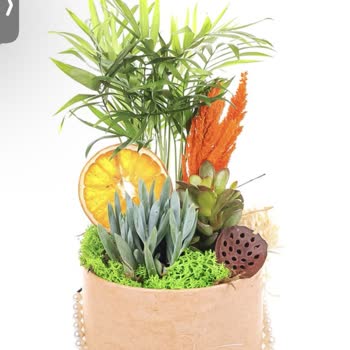 Aynı Gün Teslimat Vaadiyle Alınan Çiçek Geç Ve Kötü Durumda Ulaştı