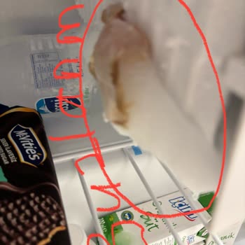 Vestel Mini Buzdolabı İçine Su Damlatıyor!