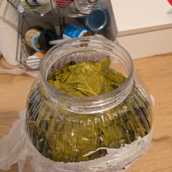 @egeden_tazelik Sipariş Verdiğim Yaprak Eksik Ve Satıcı İletişime Geçmiyor