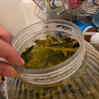 @egeden_tazelik Sipariş Verdiğim Yaprak Eksik Ve Satıcı İletişime Geçmiyor