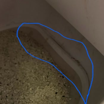 Xenon Smart Kedi Tuvaleti Garanti Süresinde Bozuldu Müşteri Hizmetleri Çözüm Sunmuyor