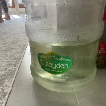 Getir-Kuzeyden Damacana Sularında Kısa Sürede Yeşillenme Sorunu