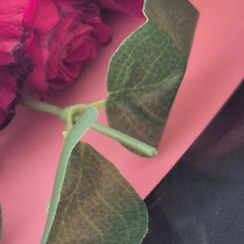 Taze Çiçek | Tazecicek.com Sipariş Edilen Buket Görselden Farklı Ve Kalitesiz Geldi