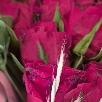 Taze Çiçek | Tazecicek.com Sipariş Edilen Buket Görselden Farklı Ve Kalitesiz Geldi