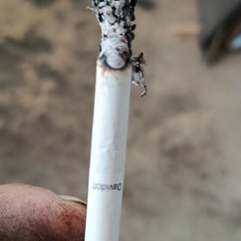 Davidoff Burgundy Sigara Paketi İçinden Ağaç Parçaları Çıkıyor