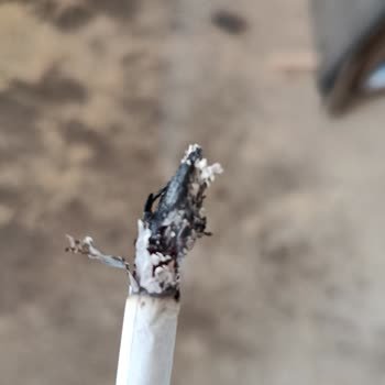 Davidoff Burgundy Sigara Paketi İçinden Ağaç Parçaları Çıkıyor