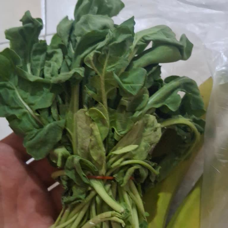 Eksik Ve Kalitesiz Ürün Teslimatı, Yanlış Faturalandırma