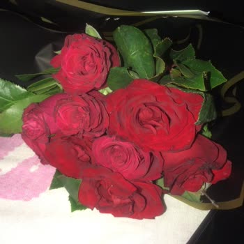 Görseldeki Ürünle Farklı Ürün Gönderimi Ve Yetersiz Müşteri Hizmeti Deneyimi