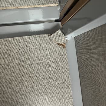 Divanev Keşan'dan Alınan Mobilyalarda Kurulum Ve İlgi Sorunu