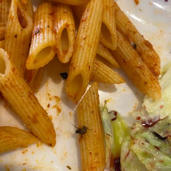 Akasya AVM Tavuk Dünyası'nda Hijyen Ve Hizmet Sorunu