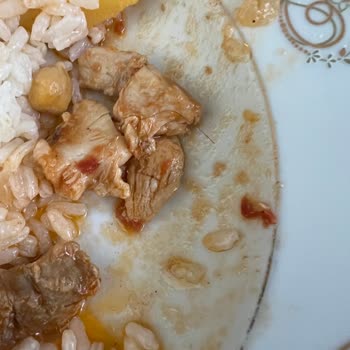 Tavuk Paketinden Çıkan Saçlar Midemi Bulandırdı