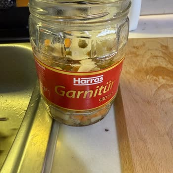 Harras Garnitürden Böcek Çıktı: Sağlığımız Tehlikede