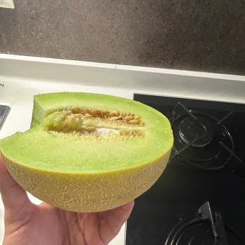 Migros'tan Satın Alınan Olgunlaşmamış Ve Lezzetsiz Kavun