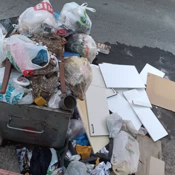 Konteynerin Yakınlığı Nedeniyle Balkonda Oturulamıyor