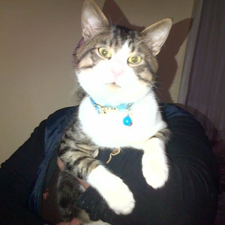 Merkez Kapanışı Nedeniyle Mağduriyet Ve Yeni Merkez Talebi