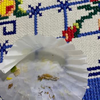 Aldığım Kuruyemişten Böcek Çıktı, Misafirlerime Mahcup Oldum