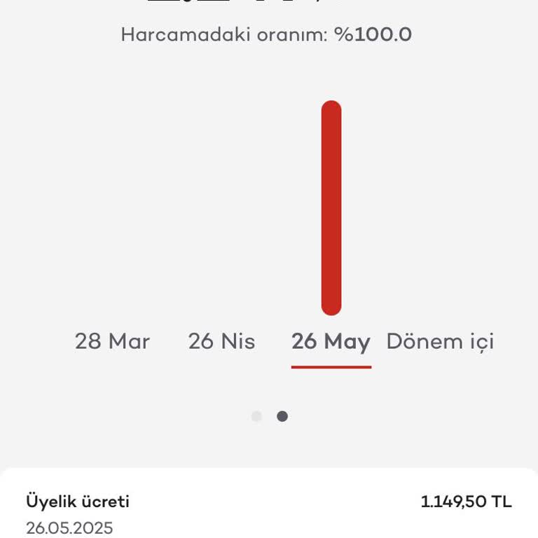 Onayım Dışında Yansıtılan Yıllık Kart Ücretinin İadesini Talep Ediyorum