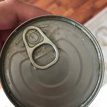 Ezilmiş Ve Küflenmiş Mama: Hepsiburada'dan Kötü Deneyim