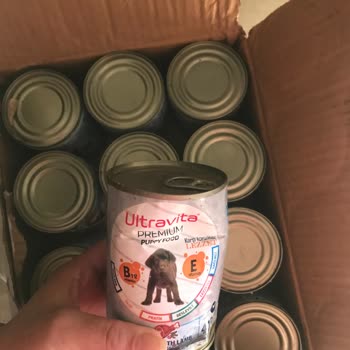 Ezilmiş Ve Küflenmiş Mama: Hepsiburada'dan Kötü Deneyim