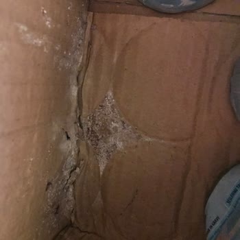 Ezilmiş Ve Küflenmiş Mama: Hepsiburada'dan Kötü Deneyim