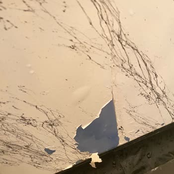 Aldığım Fayans Boyası Kısa Sürede Soyuldu, Paramın İadesini İstiyorum