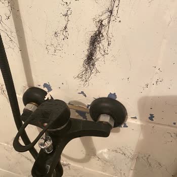 Aldığım Fayans Boyası Kısa Sürede Soyuldu, Paramın İadesini İstiyorum