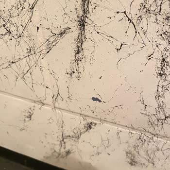 Aldığım Fayans Boyası Kısa Sürede Soyuldu, Paramın İadesini İstiyorum