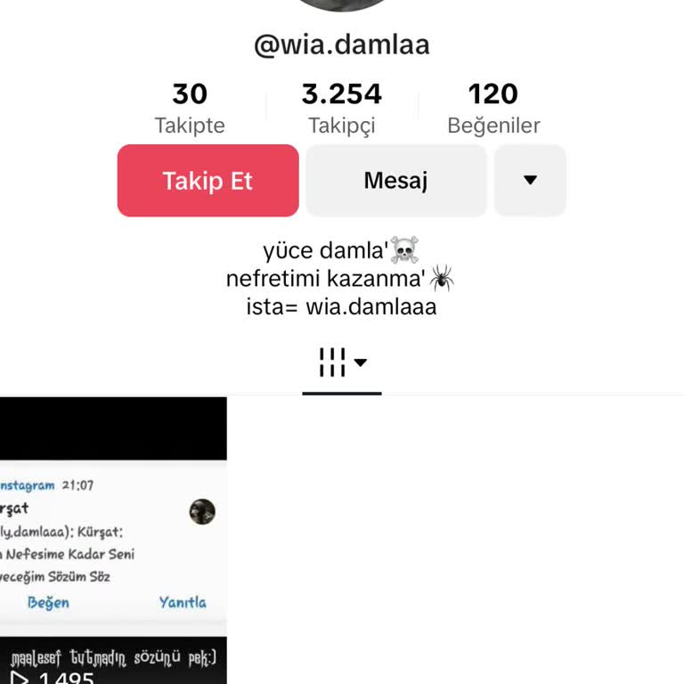 Eski TikTok Hesabıma Erişim Sağlayamıyorum