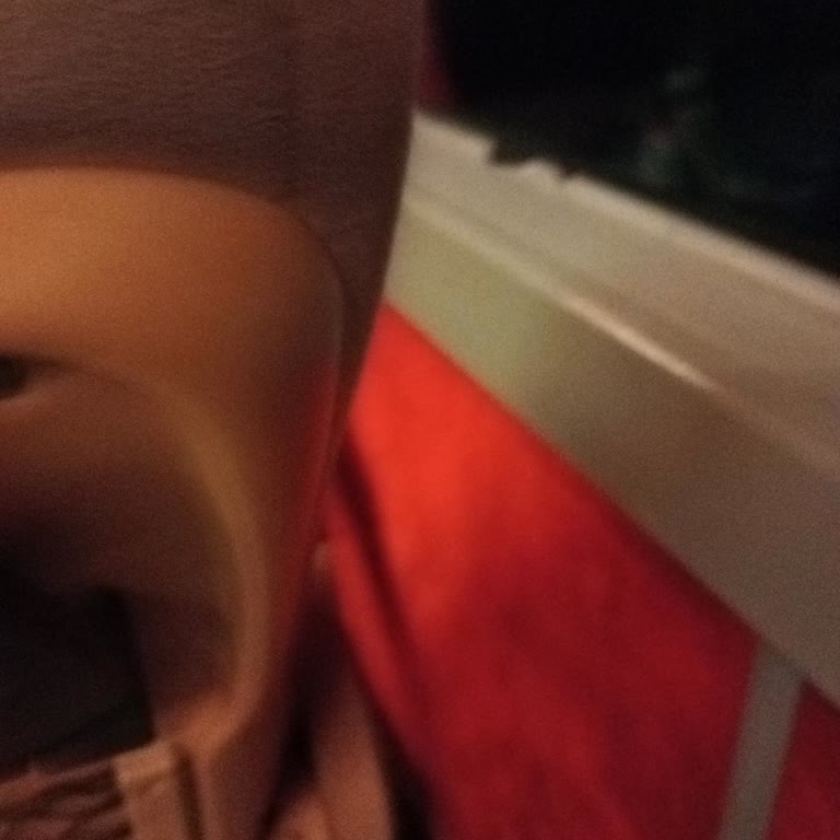 Otobüs Seferinin İptali Ve Yetersiz Hizmet Deneyimi