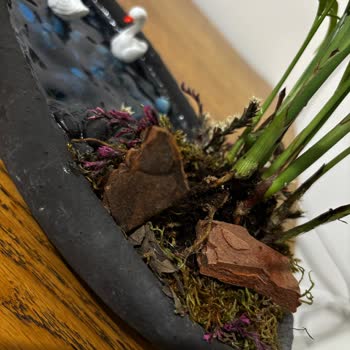 Babalar Günü Hediyem Eksik Ve Kusurlu Geldi, Hayal Kırıklığı Yaşadım