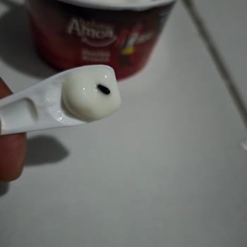 Dondurmanın İçinden Böcek Çıkmasıyla Hayal Kırıklığı