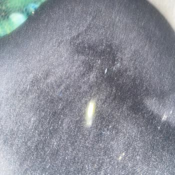 Meyveli Kekin İçinden Plastik Parça Çıktı, İnsan Sağlığı Tehlikede