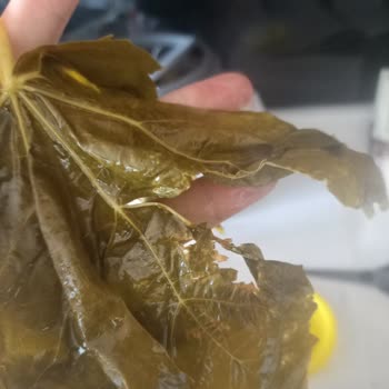 Sipariş Sonrası İletişim Eksikliği Ve Ürün Sorunları