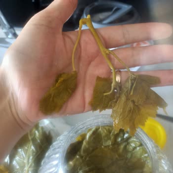 Sipariş Sonrası İletişim Eksikliği Ve Ürün Sorunları