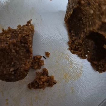 Komagene Çiğköfte Siparişimde Saç Ve Böcek Çıktı: Hijyen Sorunu