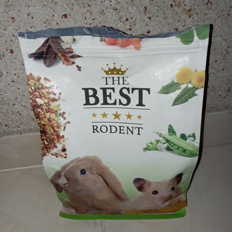 Gold Wings The Best Rodent 'ın İçinde Böcek Geziyor