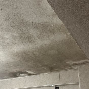 Konut Sigortası Talebimde Dekorasyon Teminatı Kapsamında Mağduriyet Yaşadım