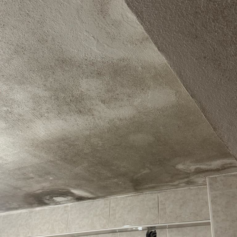 Konut Sigortası Talebimde Dekorasyon Teminatı Kapsamında Mağduriyet Yaşadım