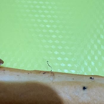 Galeta Paketinden Bulaşık Teli Parçası Çıkması Ailemizi Rahatsız Etti