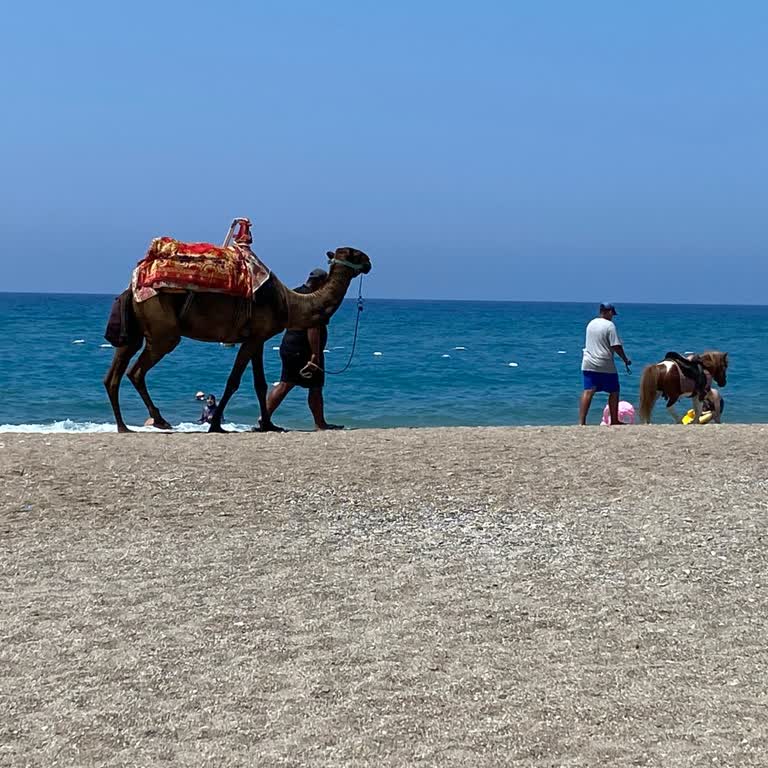 Otel Ve ETS Tur Arasında Yaşanan İletişim Sorunu Tatilimi Mahvetti