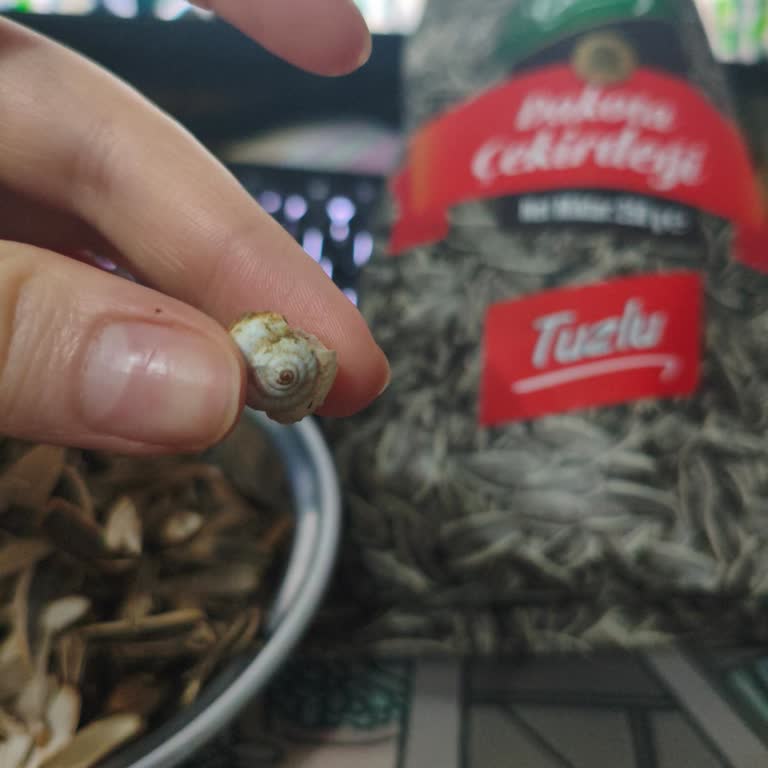 Çekirdek Paketinden Salyangoz Kabuğu Çıkması Hijyen Endişesi Yarattı