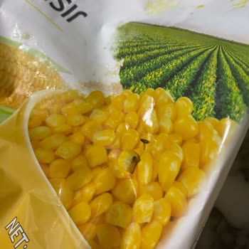 Aldığım Mısırın İçinden Böcek Çıktı İnsan Sağlığı Hiçe Sayılıyor