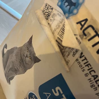 Kısa Raf Ömrü Ve Kesilmiş Kedi Maması Mağduriyeti