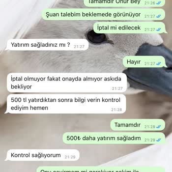 Casino 491 Yatırımı Sonrası Engellendim, Kazancım Ödenmedi