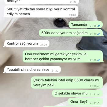 Casino 491 Yatırımı Sonrası Engellendim, Kazancım Ödenmedi