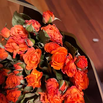 Gönderilen Çiçeklerin Kalitesizliği Ve Müşteri Memnuniyetsizliği