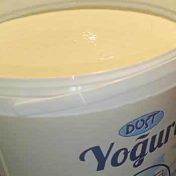 Dost Yoğurtta Hijyen Sorunu Ve Yabancı Maddeler!